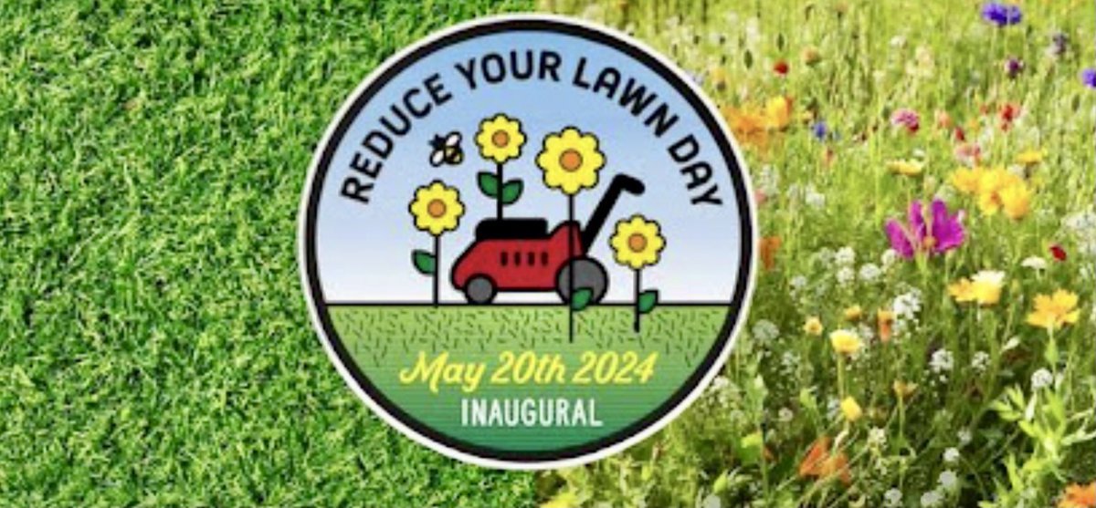 American Meadows, a leading advocate for doing good through gardening, in collaboration with Kathy Jentz, author of Groundcover Revolution, proudly announces the inaugural Reduce Your Lawn Day scheduled for May 20th, 2024. washingtongardener.blogspot.com/2024/03/reduce… @WDCGardener #horticulture