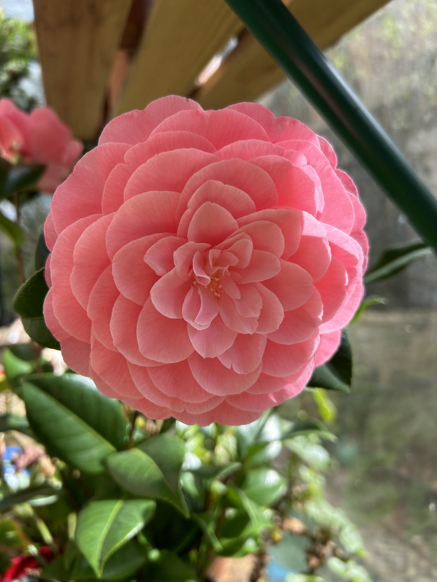 Reminds me of my Spirograph