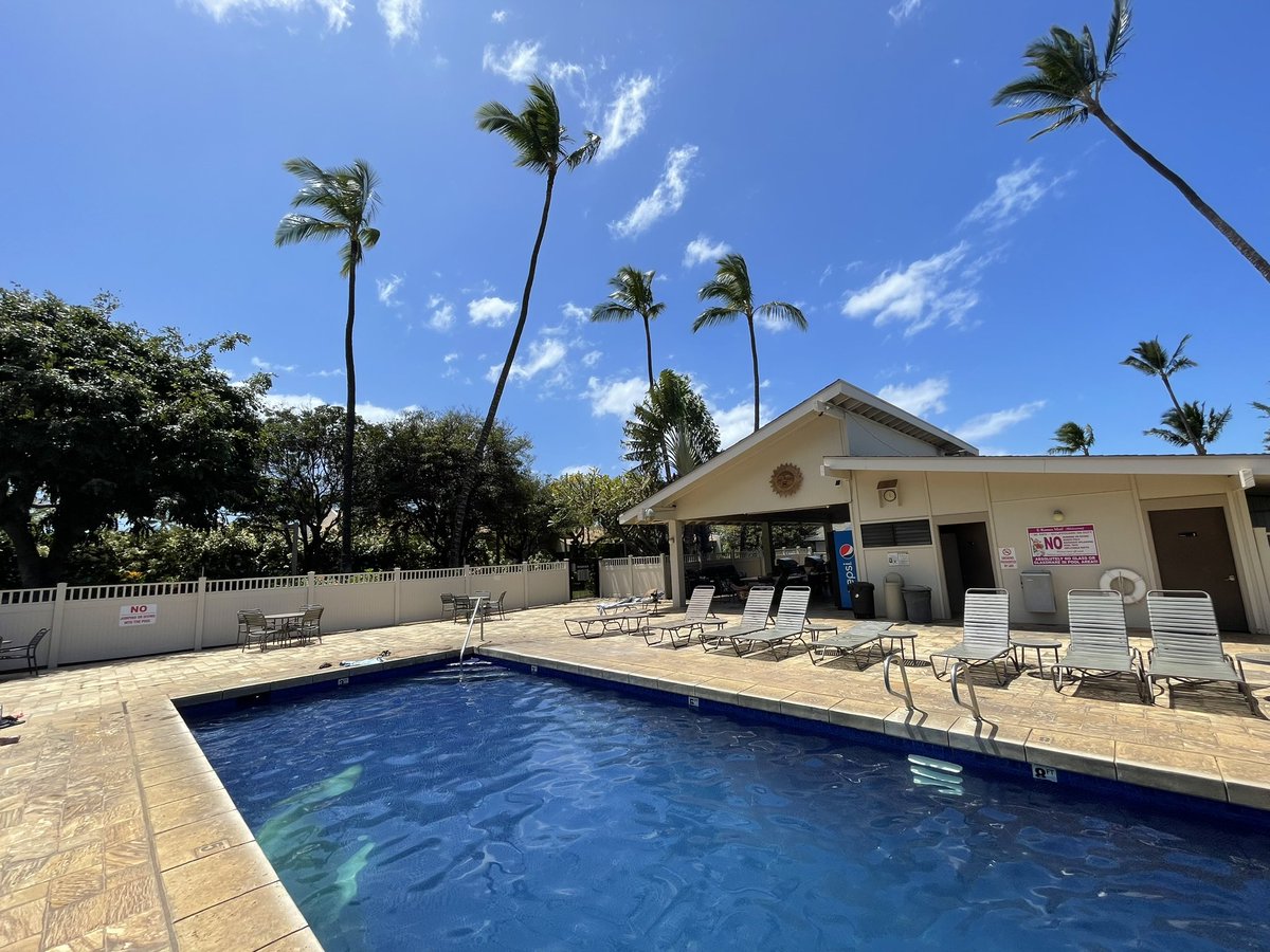 mblawt's tweet photo. Week 4 was great! ☀️🏝️#Maui #ExperiencesNotStuff https://t.co/6IBb0VLjrZ