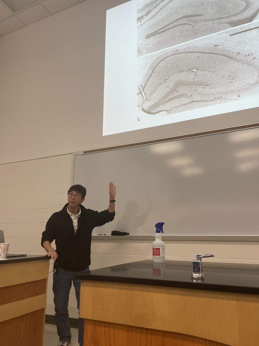 Fascinating talk by Prof. Eng Lo @Harvard massgeneral.org/research/suppo… on circadian rhythms and stroke! Discussing 'medicine in the 4th dimension!!' sciencedirect.com/science/articl… great interaction with @Berkowitzgrp and @unlchemistry @unlcas @UNLresearch #ChemBio #GBR