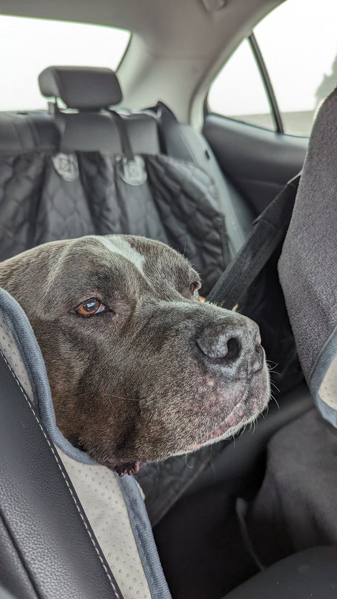 Chris misses Baseball (@strickross) on Twitter photo 