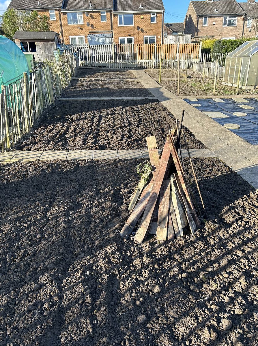 Boxing Gyms Allotment is looking great, seeds are growing lovely, we will be ready to plant in 3-4 weeks 🥊 #grownyourown #freshveg #healthyfood