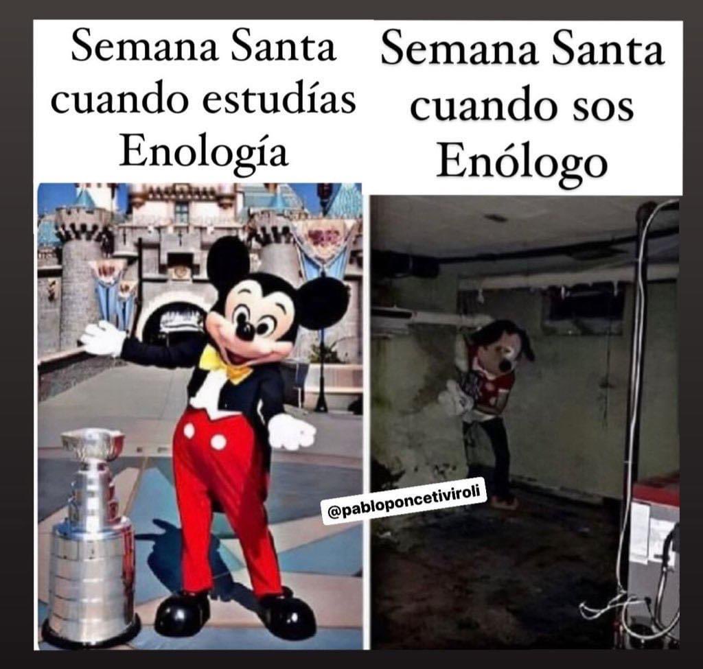 poncetivi's tweet photo. Feliz Semana Santa a todos los enologos que la siguen remando para lograr la mejor sangre de Cristo

#BuenSabado https://t.co/TFmaFaPxPw