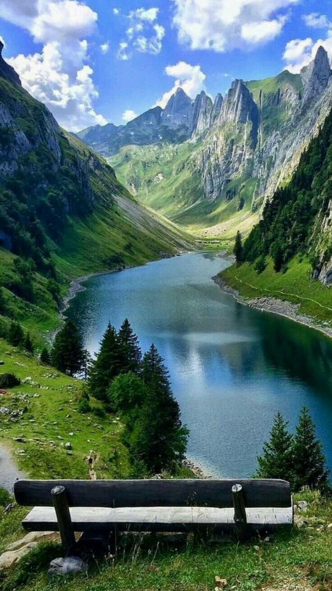 nature_zoo007's tweet image. Good  night friends have a sweet dreams 💤 #RIPDanielBalaji