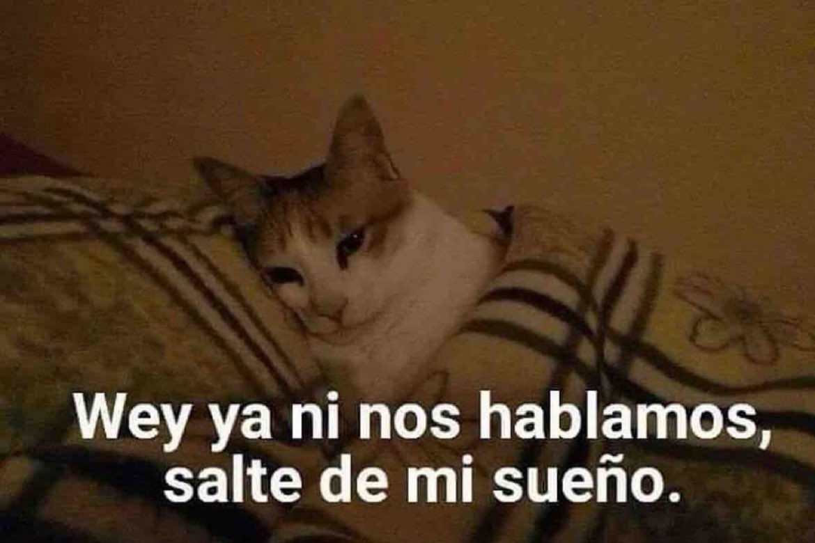 luisurdampillet's tweet photo. LITERAAAAL https://t.co/HQMfwMK7P7