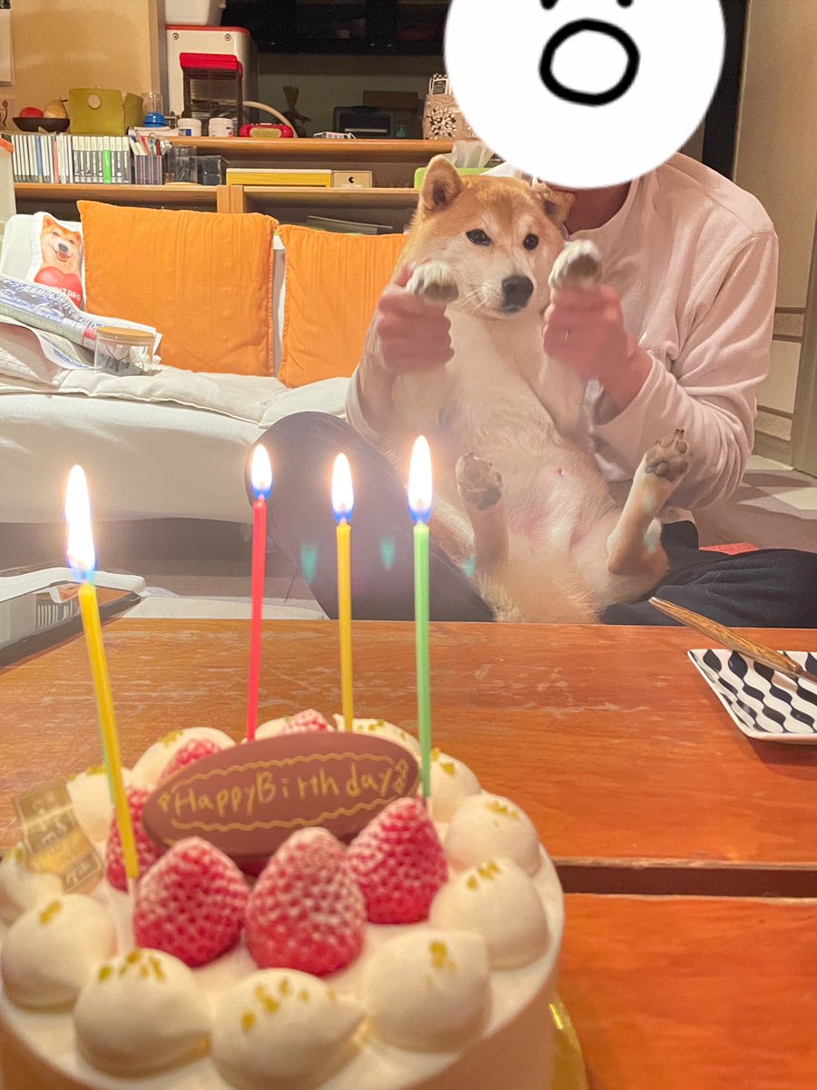 先日ワタクシ誕生日を迎えたんですが、通勤中に足を滑らせ転倒して左半身打撲、お気に入りの物を2つも失くす等、誕生日以降全然良いことがありません…(全部自分の不注意やないかい🥶) そこで、心優しいフォロワー様🙏🏻 この投稿のリプに自慢の可愛いアニマルの画像をリプいただけたら泣いて喜びます🙇‍♀️