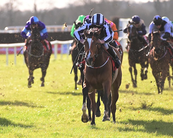 The final race on today's card, the 5f @IrishEBF_ Maiden is won by Shandy for Trainer @fozzystack in the hands of Jockey Seamie Heffernan. Congratulations to all winning connections 🏆 🥇 Shandy 🥈Betsen 🥉 Staysound Susie 📸 Healy Racing