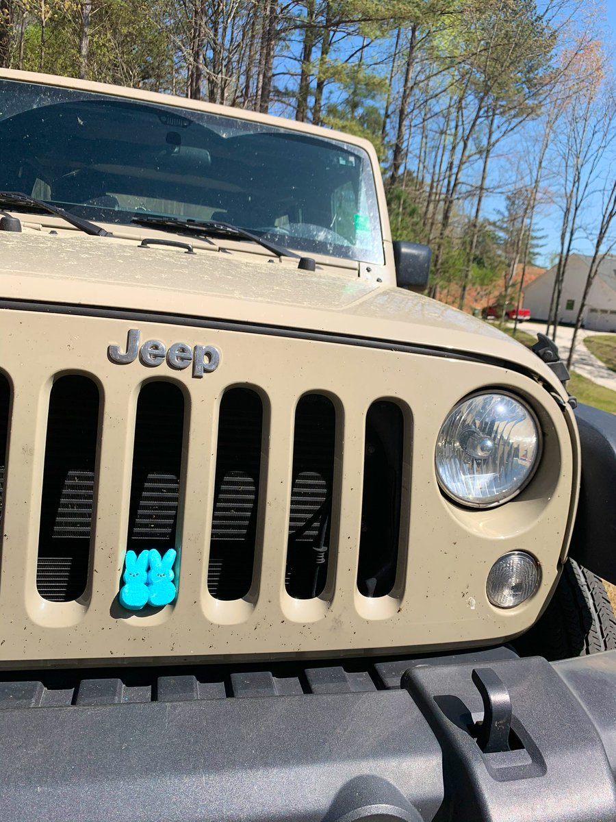 Peeps in my Jeep! Such a BEAUTIFUL day....I'm about to drop the top...finally! Happy Easter weekend y'all!! 🐰🐣#jeeplife #jeep #jeepmafia #HappyEaster