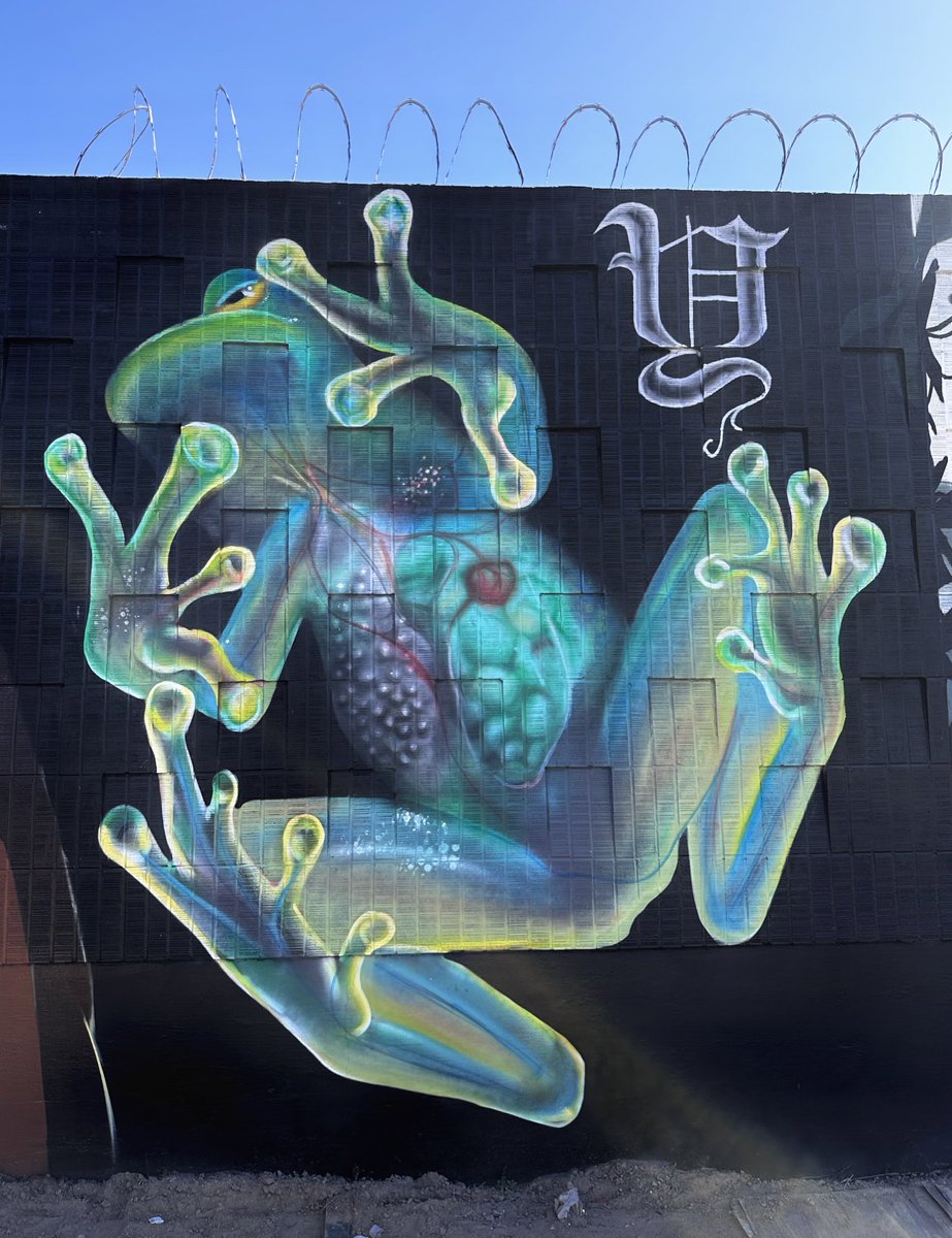 yiselart's tweet image. My latest spray paint project! 🐸