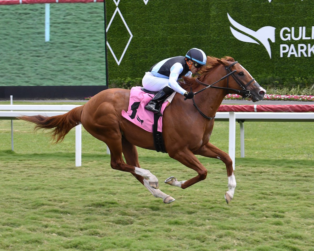 From a debut W straight into the $125k Cutler Bay Stakes @GulfstreamPark, Set made the grade, streaking home to score impressively under @JaramilloJockey for @markecasse! He’s a serious son of Oscar Performance @millridgefarm. Congrats to our partners & Gary Barber! #BelieveBig