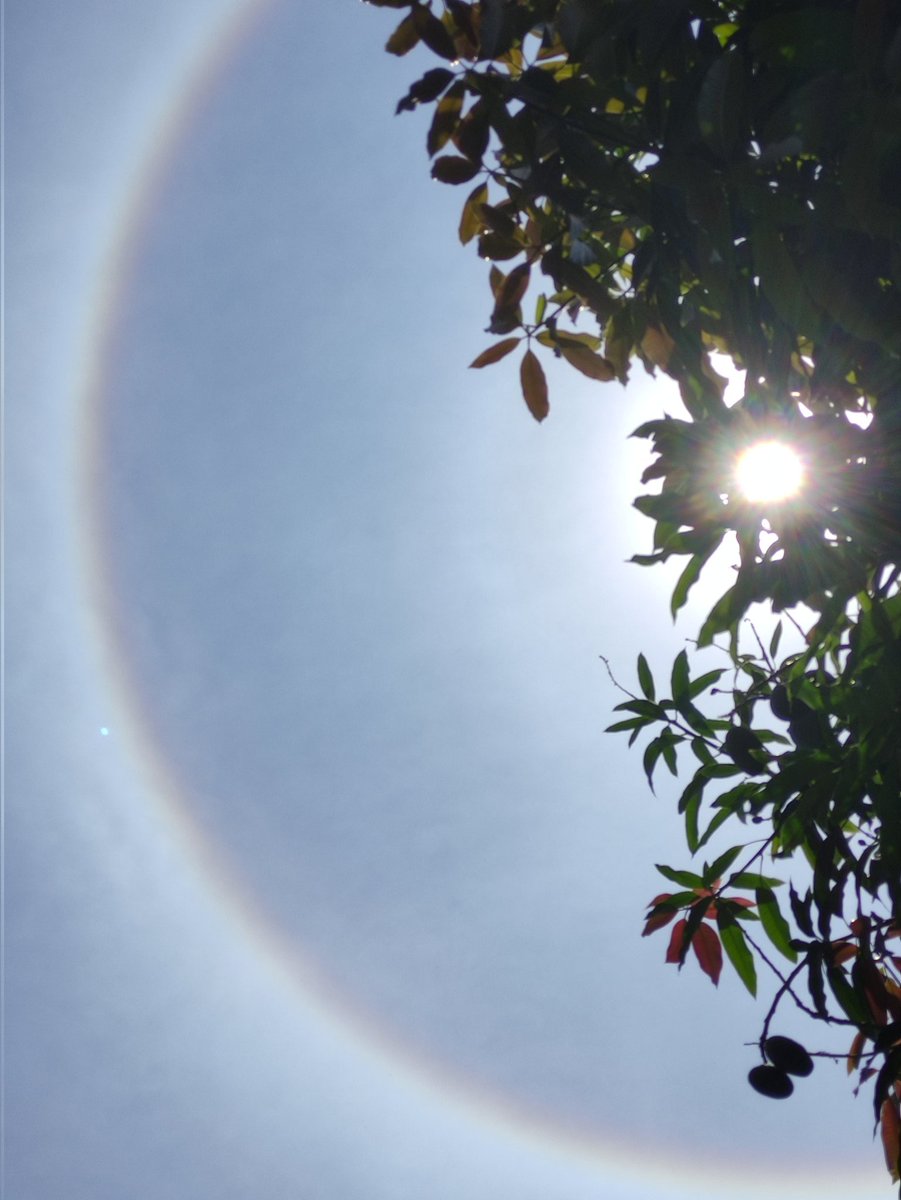 Mistico1111's tweet photo. Así se ve el sol en estos momentos 1:35 pm sábado de gloria Caracas https://t.co/ka4P4kxJeC