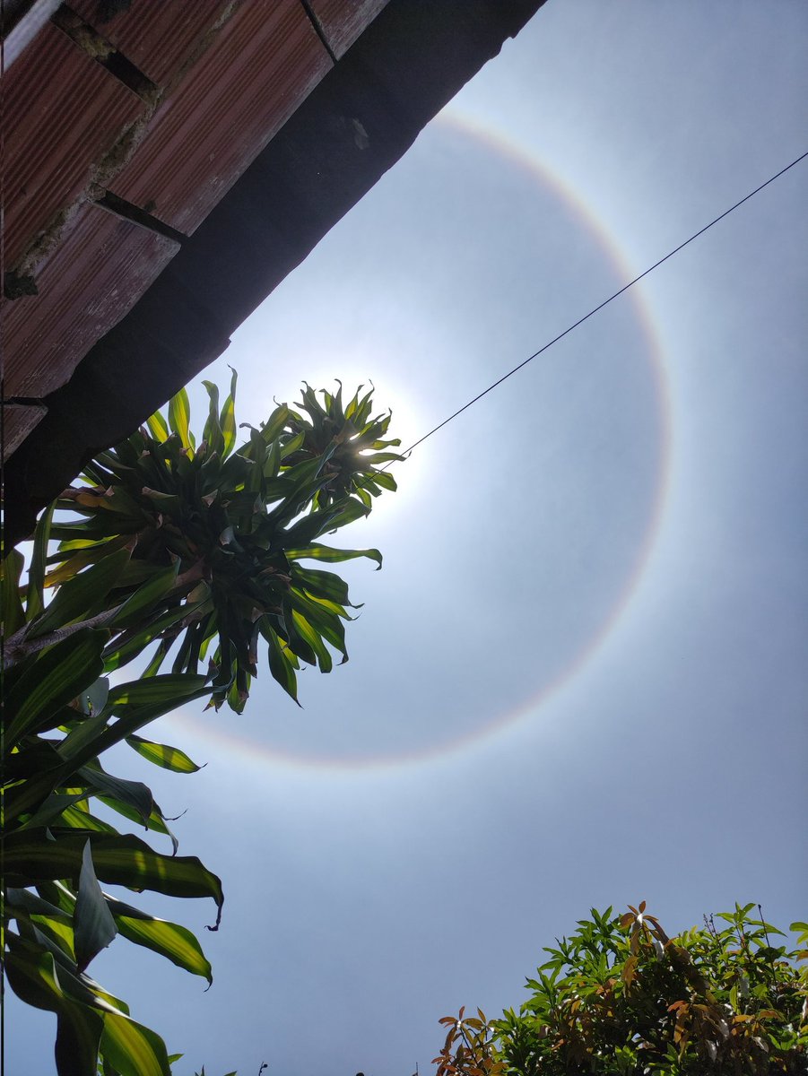 Mistico1111's tweet photo. Así se ve el sol en estos momentos 1:35 pm sábado de gloria Caracas https://t.co/ka4P4kxJeC