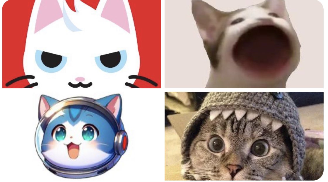 FOMO Magazine tweet media