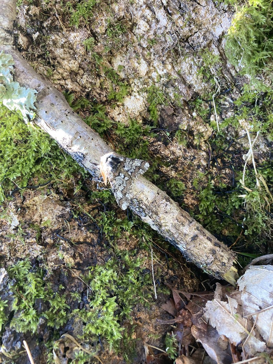 That’s a beauty!!!