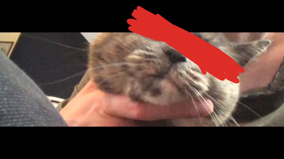 qQueueCue's tweet image. There’s nothing quite like scrolling through a twenty one pilots thread and seeing every pfp covered in red tape
I love this fandom #Clikkies #TwentyOnePilots #Clancy #skeletonclique #cliqueart