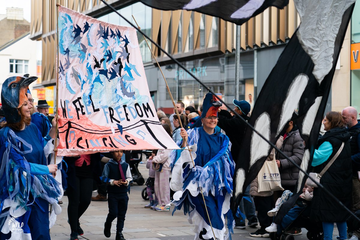 A total joy to see such the wonderful City of Kittiwakes parade by @MovingPartsArts on Northumberland Street today! The #TyneKittiwakes are the most inland breeding colony in the world, bringing a vibrant seabird mecca right onto the Quayside. 🧵1/2