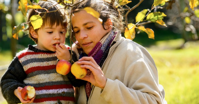 uniceflac's tweet photo. 🍎La buena alimentación juega un rol importante en el desarrollo de niños y niñas. ¡Conoce cómo realizar más de 100 recetas saludables para tí y tu familia!  🍓🥭🥦🍅🥕

Encuentra las recetas aquí: