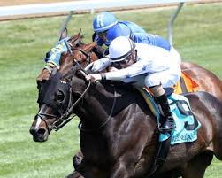 HORSERACING1002's tweet image. CATNIP🇺🇸2019
(KITTEN'S JOY - MASQUERADE BY SILENT NAME)#Catnip
B/O John & Susan Moore(Ky)
Apr 19, 2019. Gelding.
T/ Michael Stidham
11-4-1-2----$458,349
Monmouth S G3
2nd United Nations S G1.
3rd Pegasus World Cup Turf G1.
Died Mar 30, 2024