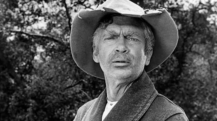 #OTD in 1908, the birth of Frank 'Buddy' Ebsen, an American actor and dancer, whose career spanned seven decades. His most famous role was Jed Clampett in the TV sitcom, The Beverly Hillbillies (1962–1971). Also in the detective drama Barnaby Jones (1973–1980). d. 6 July 2003.