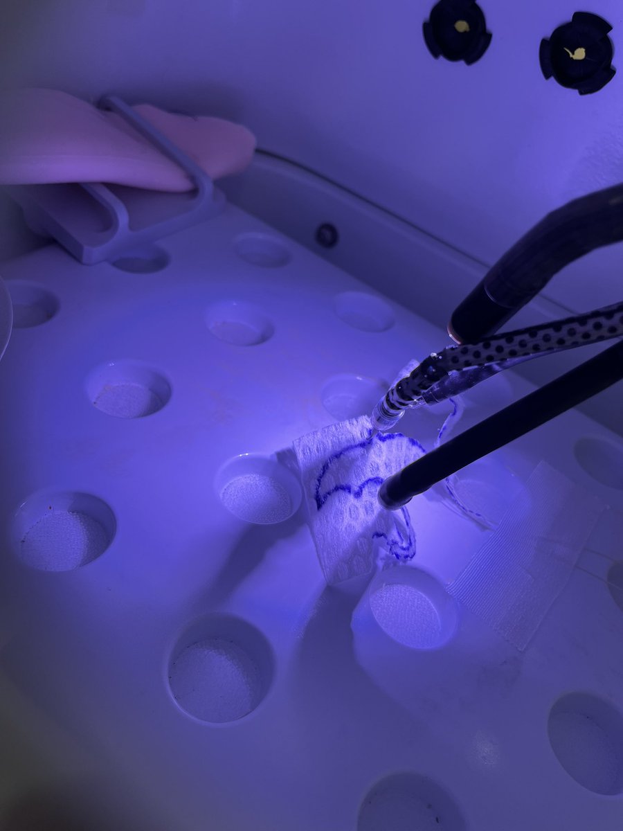 Ashley V Alford tweet media