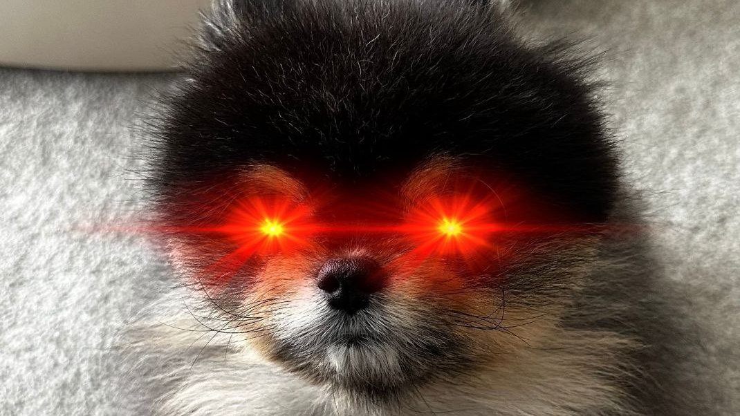 nncattan's tweet photo. @machibigbrother @bobaoppa Staked 30m SOL, airdropping the rest to $BOBAOPPA holders and presalers

Claim it, 2x multiplier live
➡️ https://t.co/f3jgzfeEFa

All for the dog house <3 https://t.co/oPKxV3j2me