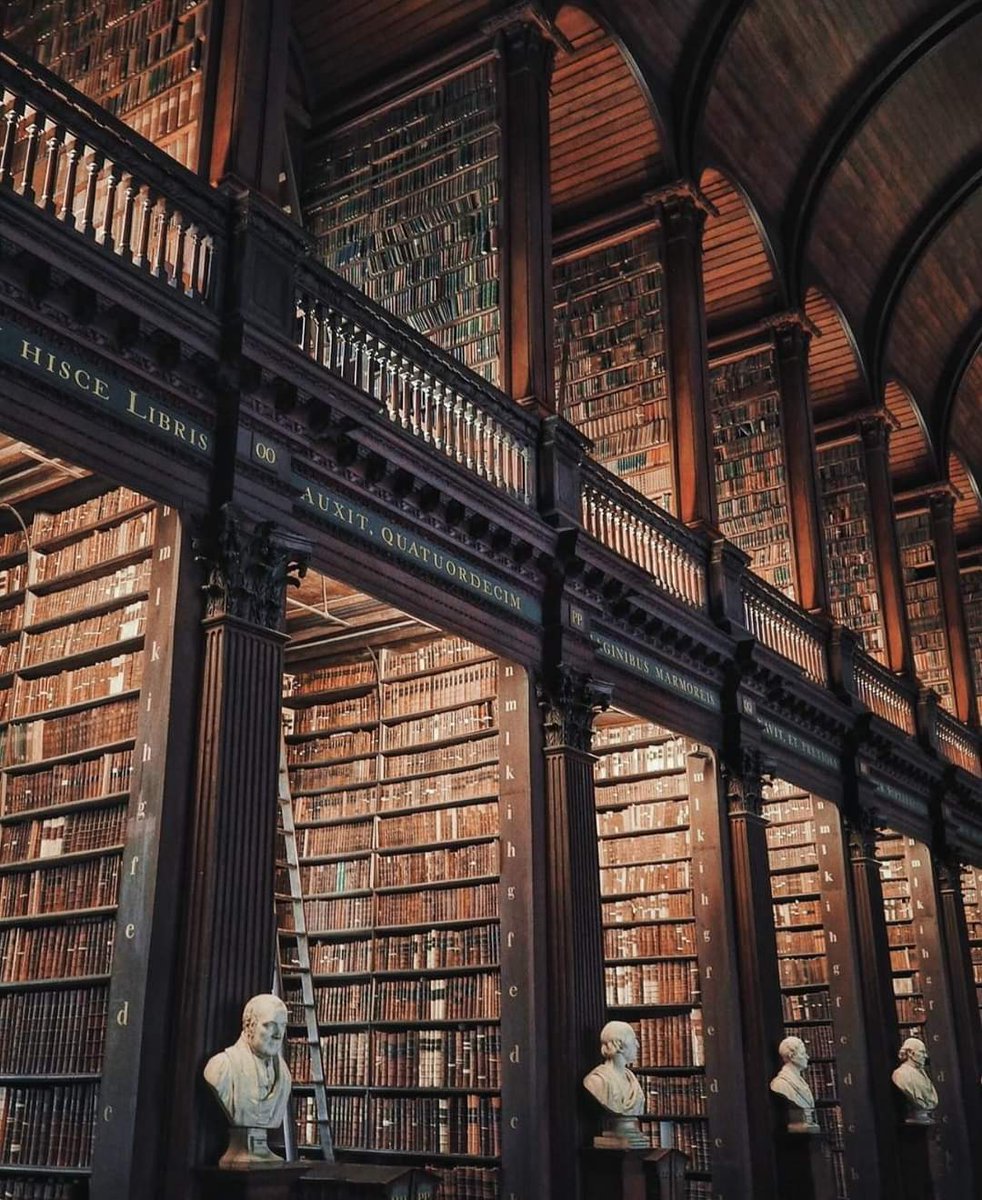 The Long Room in Trinity College, Dublin

📸 gisforgeorgina