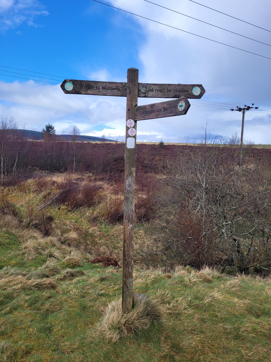 SeedsStats's tweet image. Spring sunshine
#walking #scottishborders