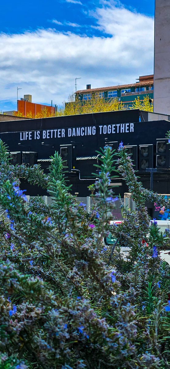 anna pérez pagès tweet media