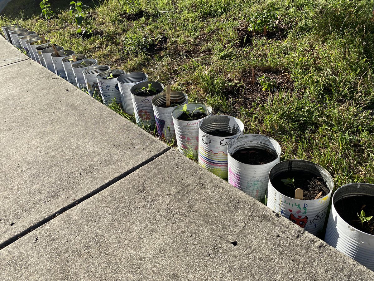 Hillary Webb tweet media