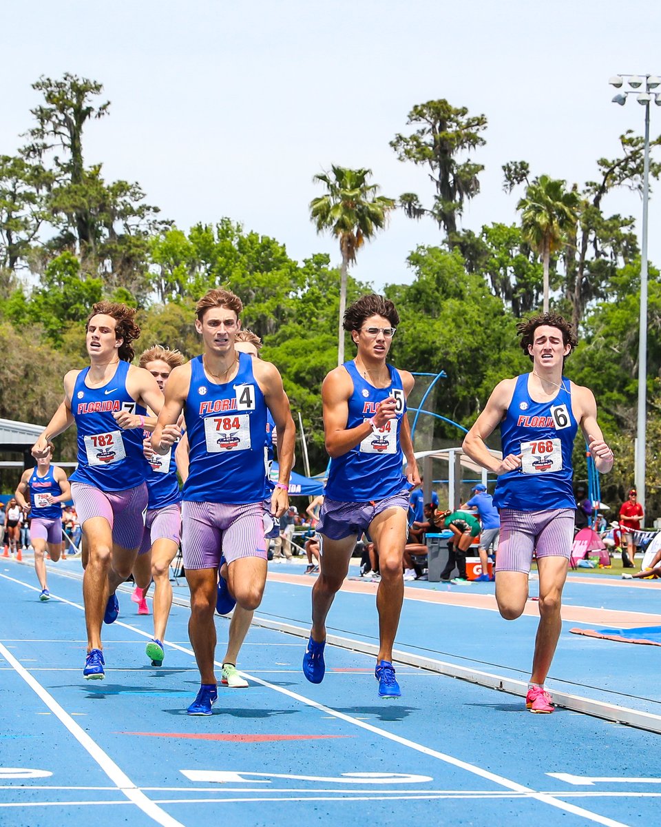 GatorsTF's tweet photo. Gators 8⃣ for 9⃣ on PRs in an ALL Gator 800m

Maseman, Pantojas, Kepran, Wester, Nelson, Fiore, Musselwhite, Ruskin all set PRs in the event!

#GoGators | #FLRelays24 🐊 https://t.co/XcEHTobOws