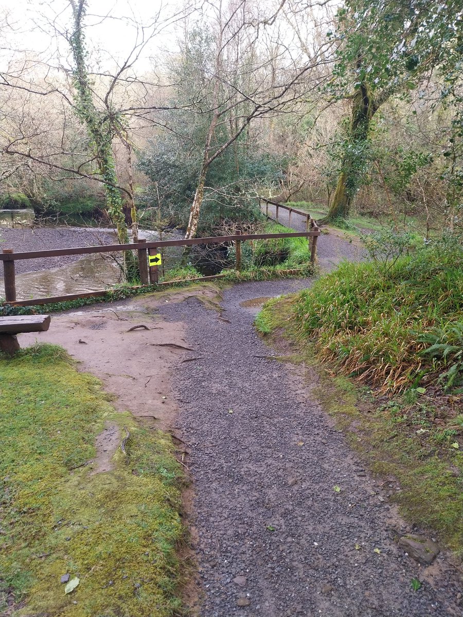 Glengarriff parkrun ..one single loop tru the stunning Nature reserve..this one has it all ..road,trail,concrete paths and lots of rolling hills ..126 of us ran walked and crawled around this morning thanks to the many helpful Volunteers