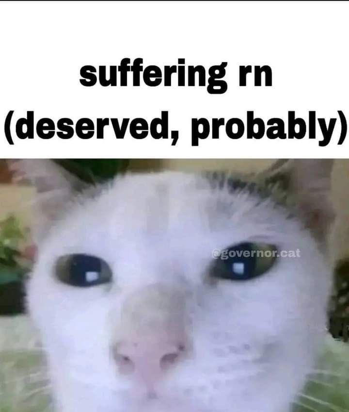 VoidSystem23's tweet image. 