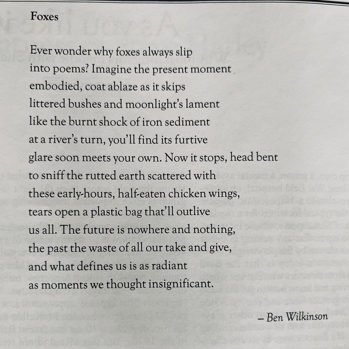 “What defines us is as radiant / as moments we thought insignificant” 🔥 ‘Foxes’, a new Spenserian sonnet, published in the @Spectator (23 March) 🦊