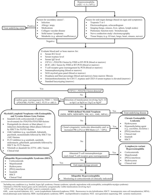 AjHematology's tweet photo. World Health Organization and International Consensus Classification of eosinophilic disorders: 2024 update on diagnosis, risk stratification, and management
Now online &amp; free access! https://t.co/u8EPInGyIG
#hemepath #hematology #mpnsm #eosinophilia https://t.co/zJAg0aYe4w