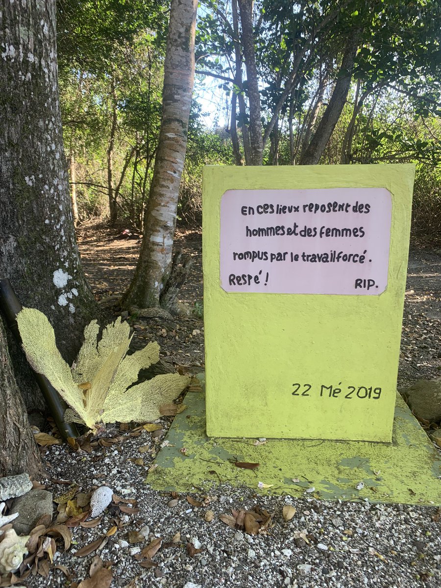 vic_kdlm's tweet photo. L’Anse Bellay en Martinique est un lieu de mémoire et d’histoire : les ossements d’un cimetière d’esclaves (XVIIIe) et de deux périodes d’occupations précolombiennes (Ve et XIIe) ont été réinhumés dignement. Espace bouleversant #Martinique #esclavage https://t.co/LHCQm8hyyv