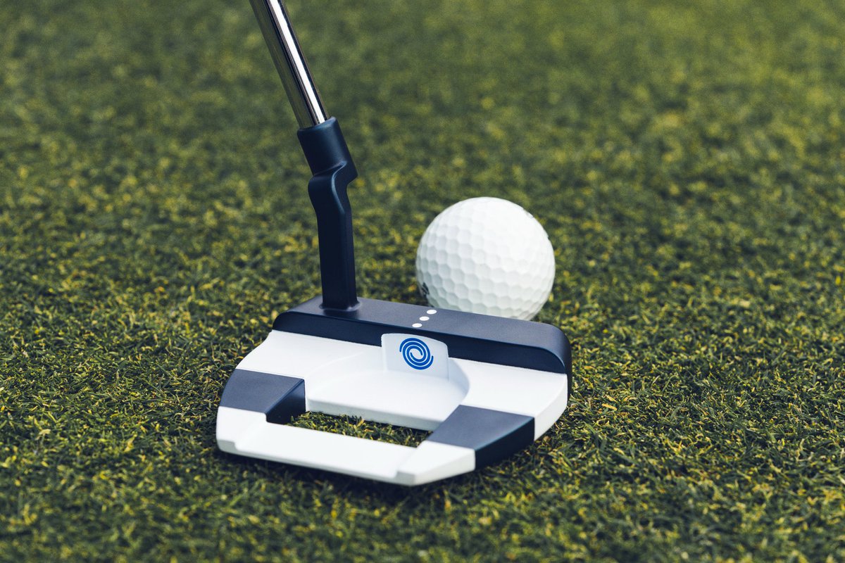 Anne Rogerson Golf tweet media