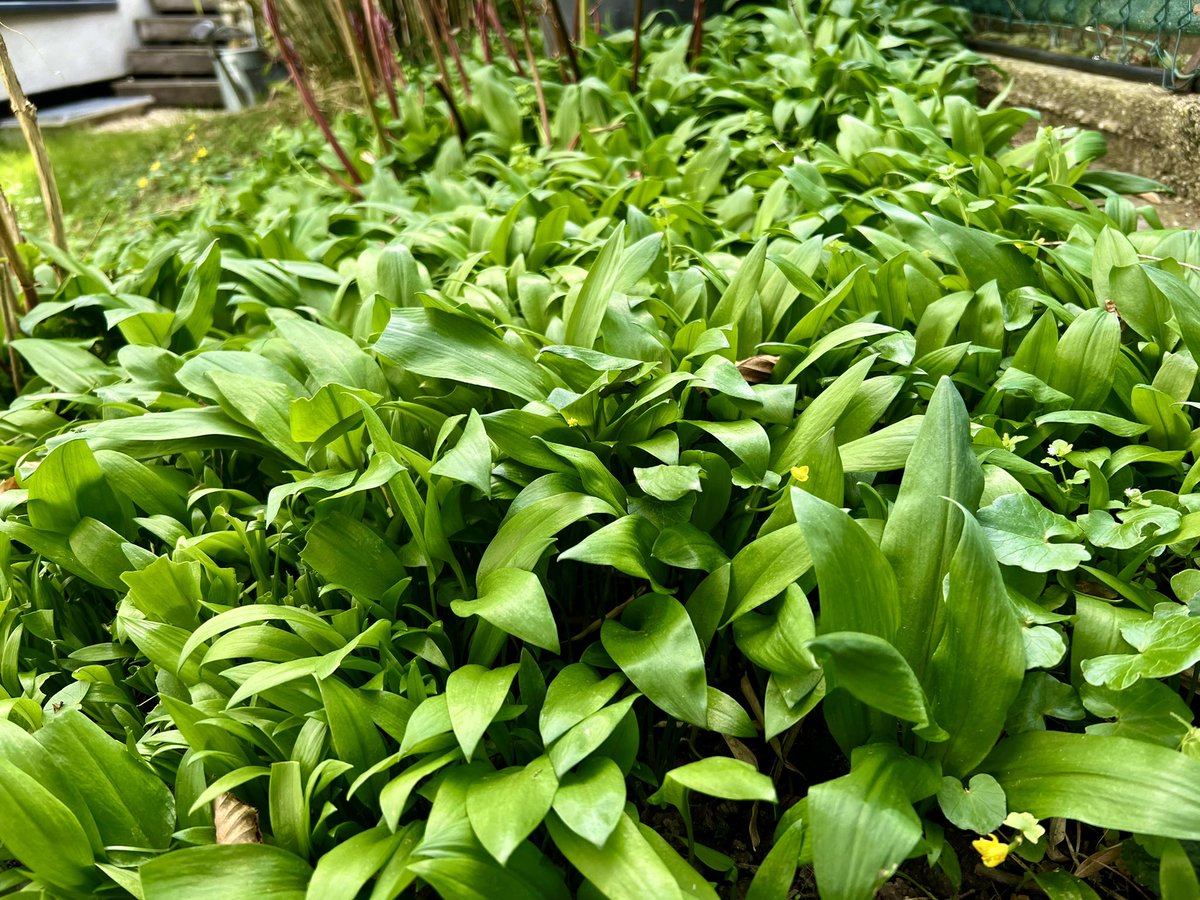 Daniel Schwarz tweet media