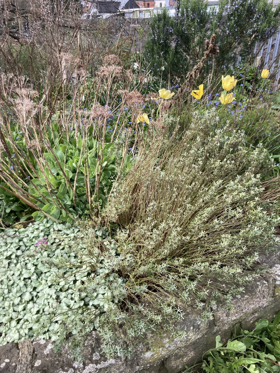 Richard Reynolds tweet media