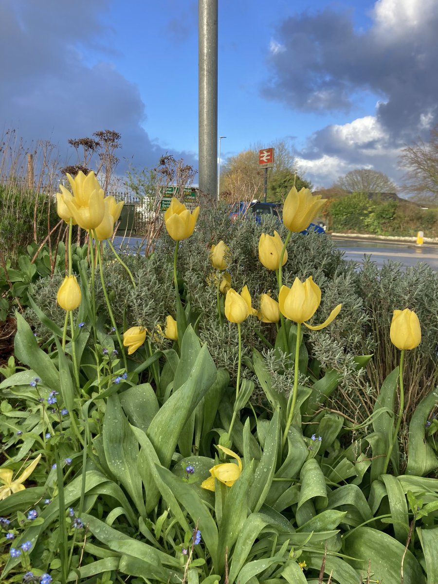 Richard Reynolds tweet media