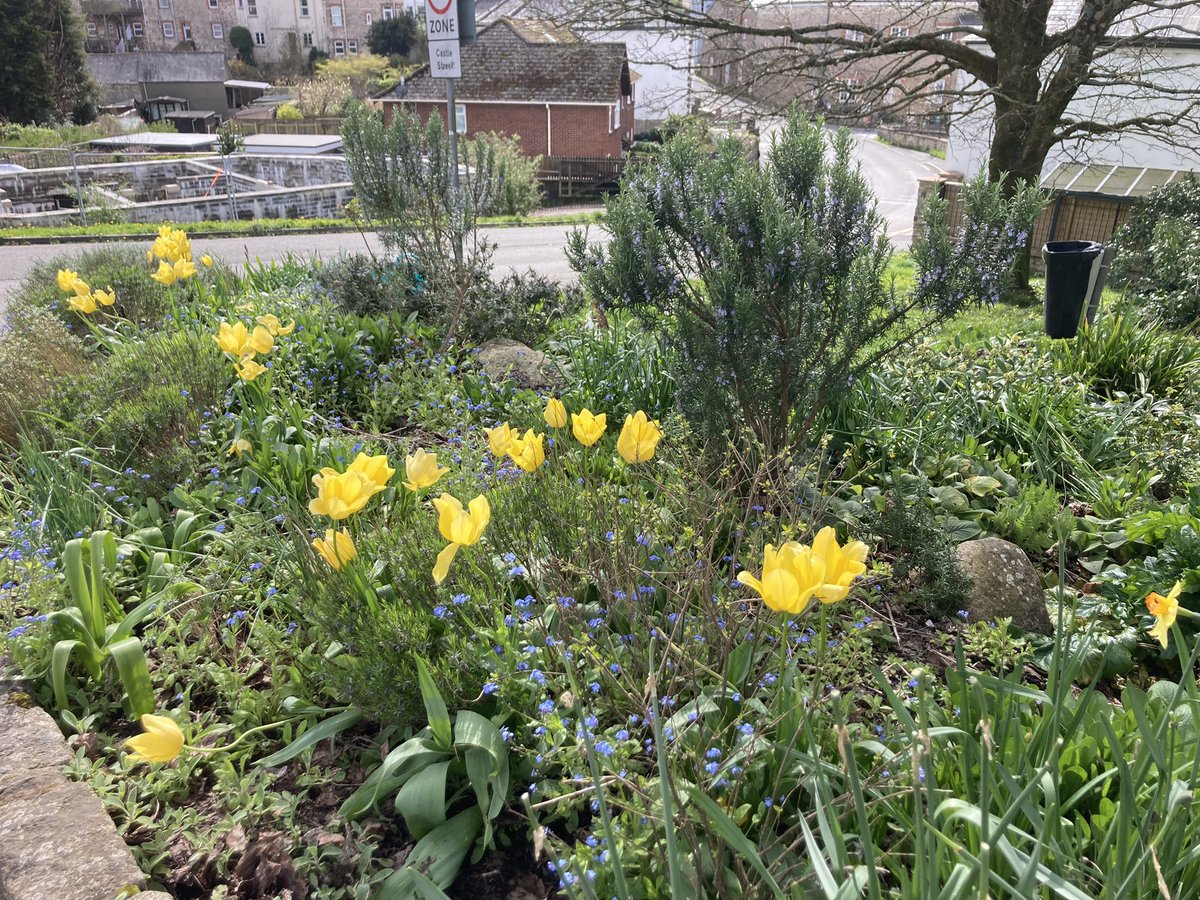 Richard Reynolds tweet media