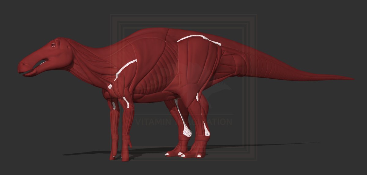 에드몬토사우루스 해부도 작업 스타트
Start of work on Edmontosaurus anatomy

#Edmontosaurus #anatomy #dinosaur