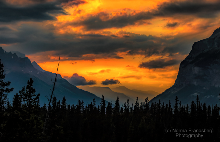 nbrandsberg's tweet photo. Icefields Parkway Sunset Silhouettes here:

https://t.co/xcWETXjWuD

#icefields #banff #jaspercanada #canada #mountains #rockymountains #nightphotography  #fineart #sunset #landscapephotography #photography #landscapes #landscape  #travel #travelphotography #ayearforart #nature https://t.co/ntzKxHqZIr
