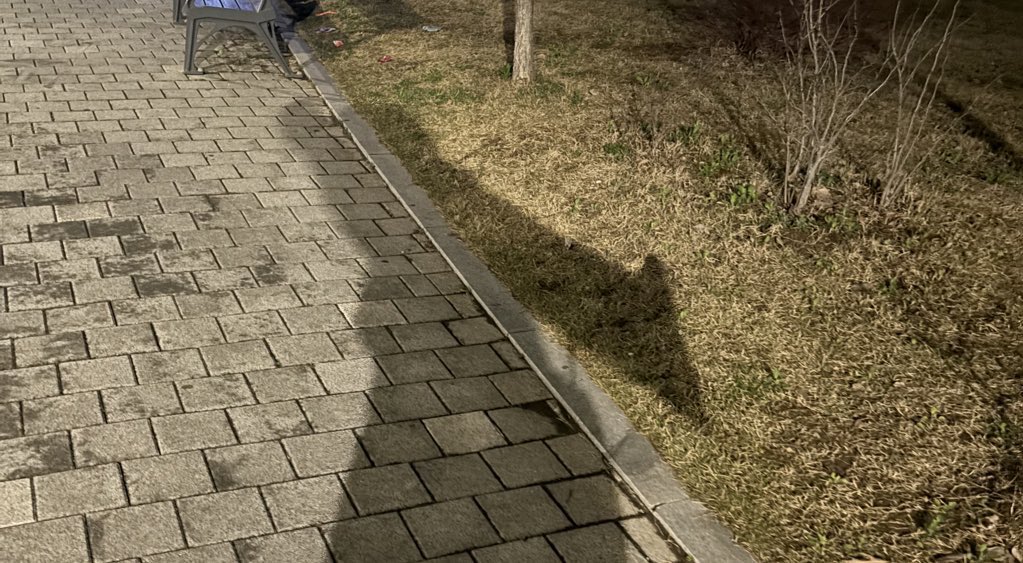 Starim00_'s tweet photo. #감제이 #GamJ #싸이코드
등신대 들고 무사히 집에 왔습니다!
밸런스 게임에서 지목도 당하고 숫자뽑기에서 
당첨돼서 등신대도 받고.. 정말 성덕이였어요🥹 
다음 콘서트에 또 가고싶네요!
오늘 감사장님 노래 라이브로 들을 수 있어서 
너무 영광이었고 재밌었습니다 https://t.co/gGzW0Ruquu
