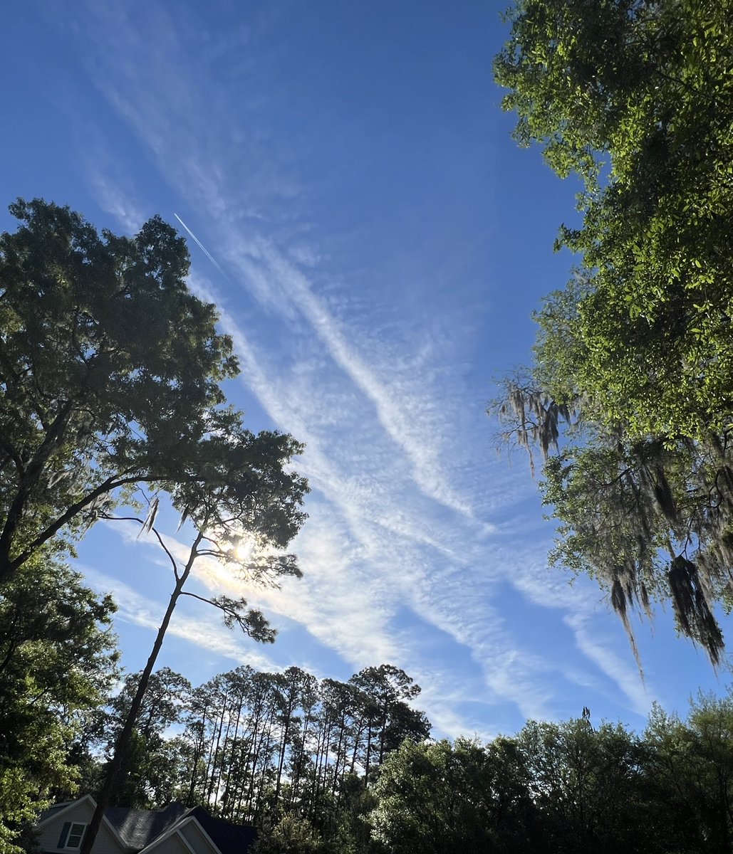 SuePearFL's tweet image. Here we go again. Woke up to the skybastards painting the sky. Presumably, yesterday was the only true blue day of the entire year. 
Hope you all enjoyed. #Florida #SolarRadiationModification
#GeoEngineering 
Alachua County, FL 3-30-24