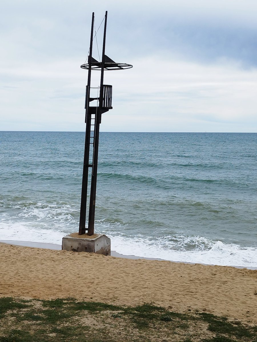 Lluís Torrent tweet media