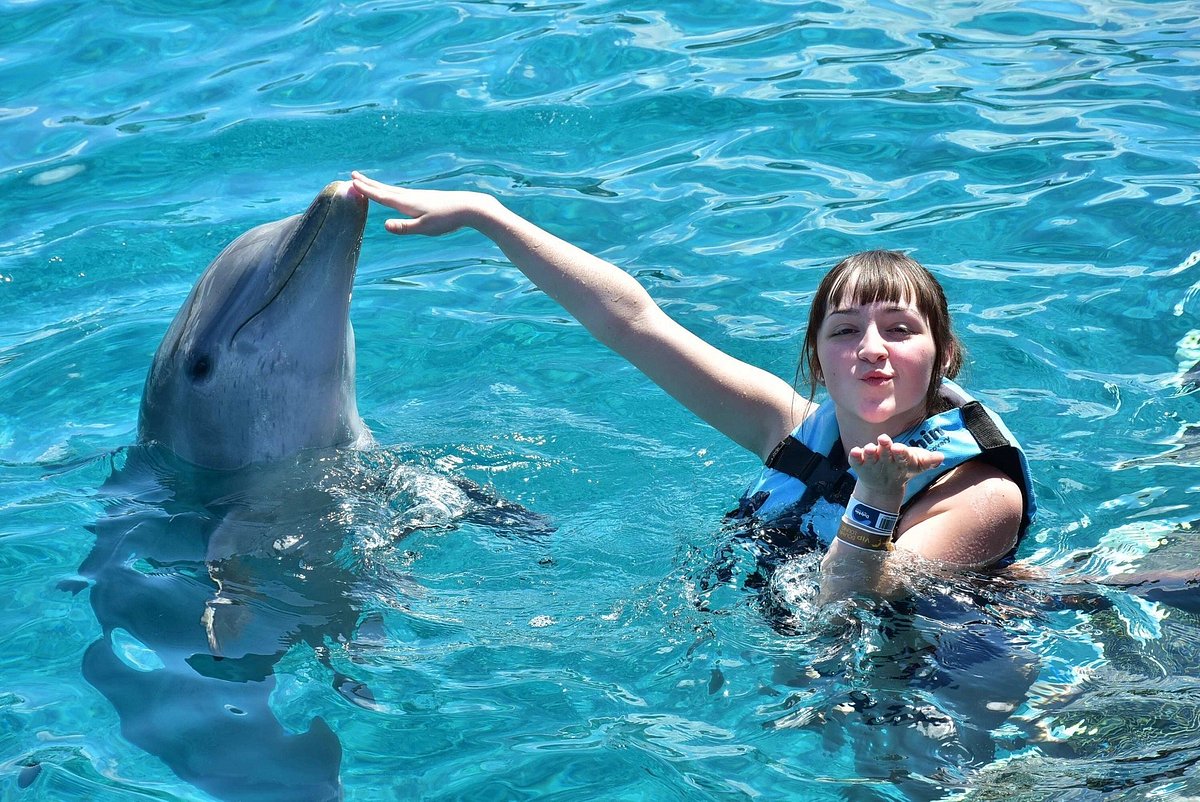 Come and create unforgettable memories with our Dolphins. 🐬❤️  

#DolphinDiscovery #memories
