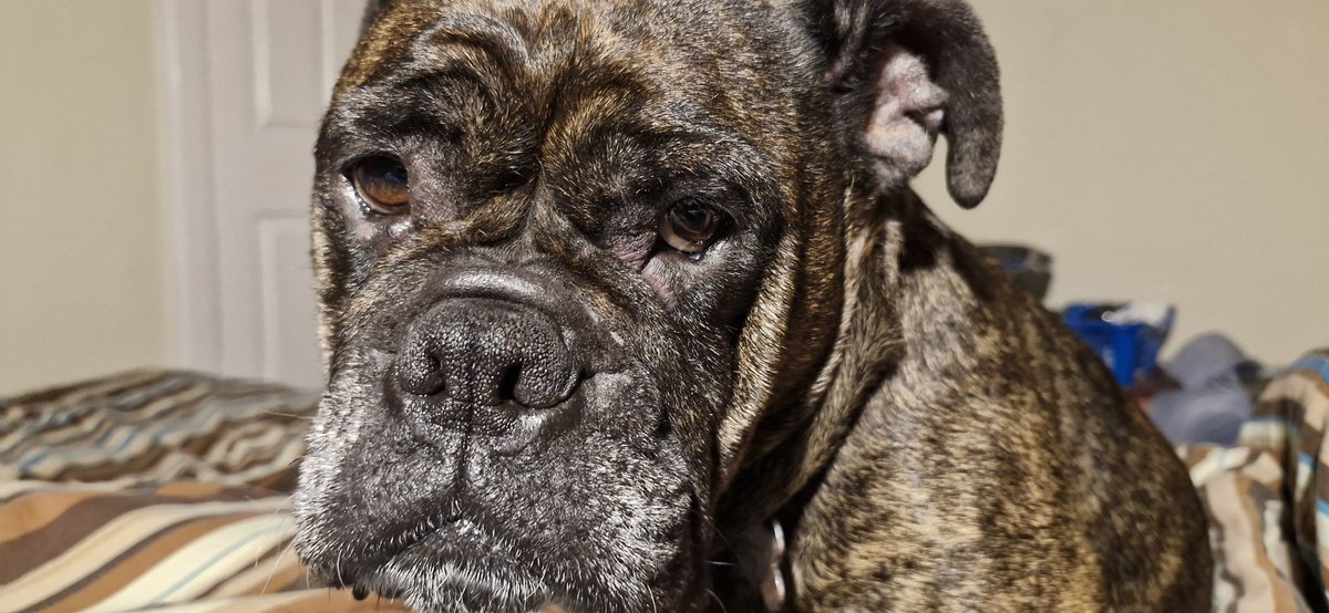 Fifi Lou tweet media