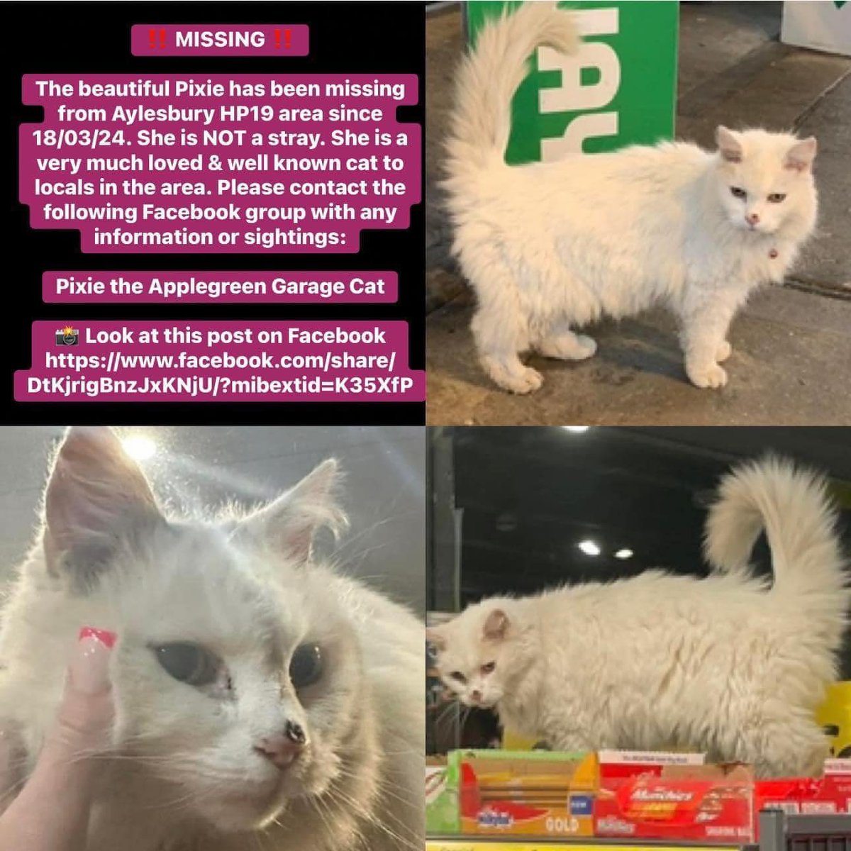 Pixie’s a well known Aylesbury resident with her own Facebook group. She may have been taken by someone who believed she was homeless. If you know anything about her, 🙏 let us know or get in touch with her owners via her group Thank you #MissingCats #CatsOfTwitter #CatsOfX
