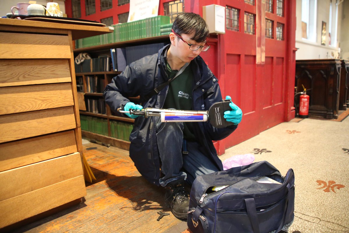 Cleankill Pest Control tweet media