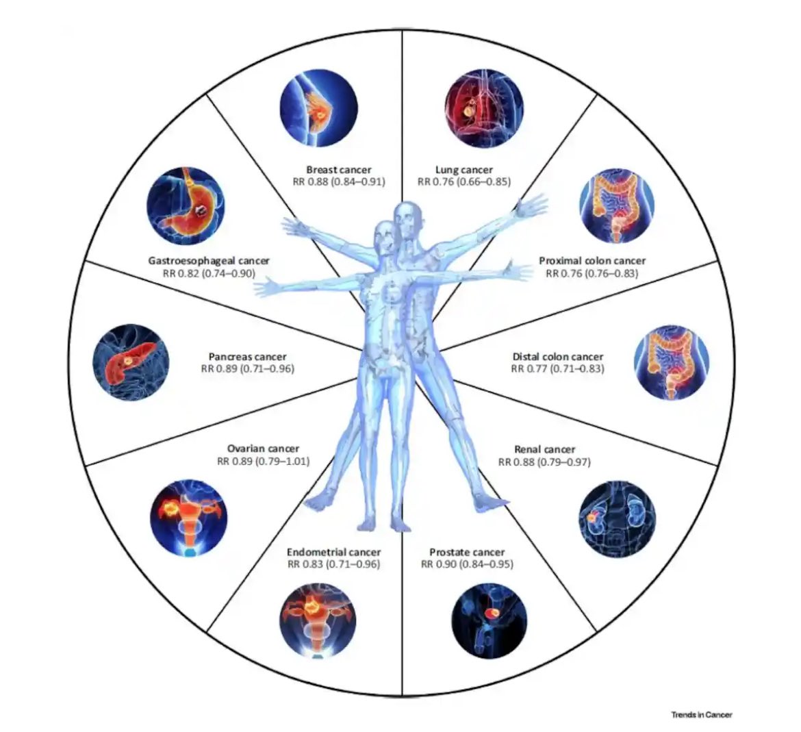 El ejercicio físico (150min/sem) reduce el riesgo, al menos 10 #Cancer distintos: #cancerdecolon (24%), #cancerdepulmon (24%), #cancerdeendometrio (17%), #cancerdemama (12%), #cancerdepancreas (11%), #cancerdepeostata (10%), #cancerenal (12%), entre otros.